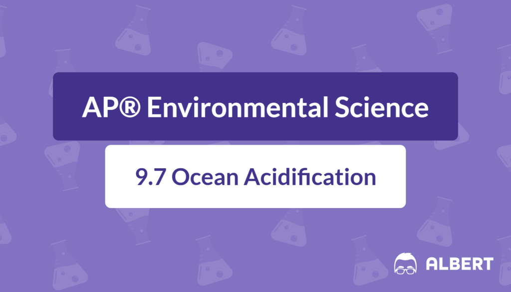 effects of ocean acidification