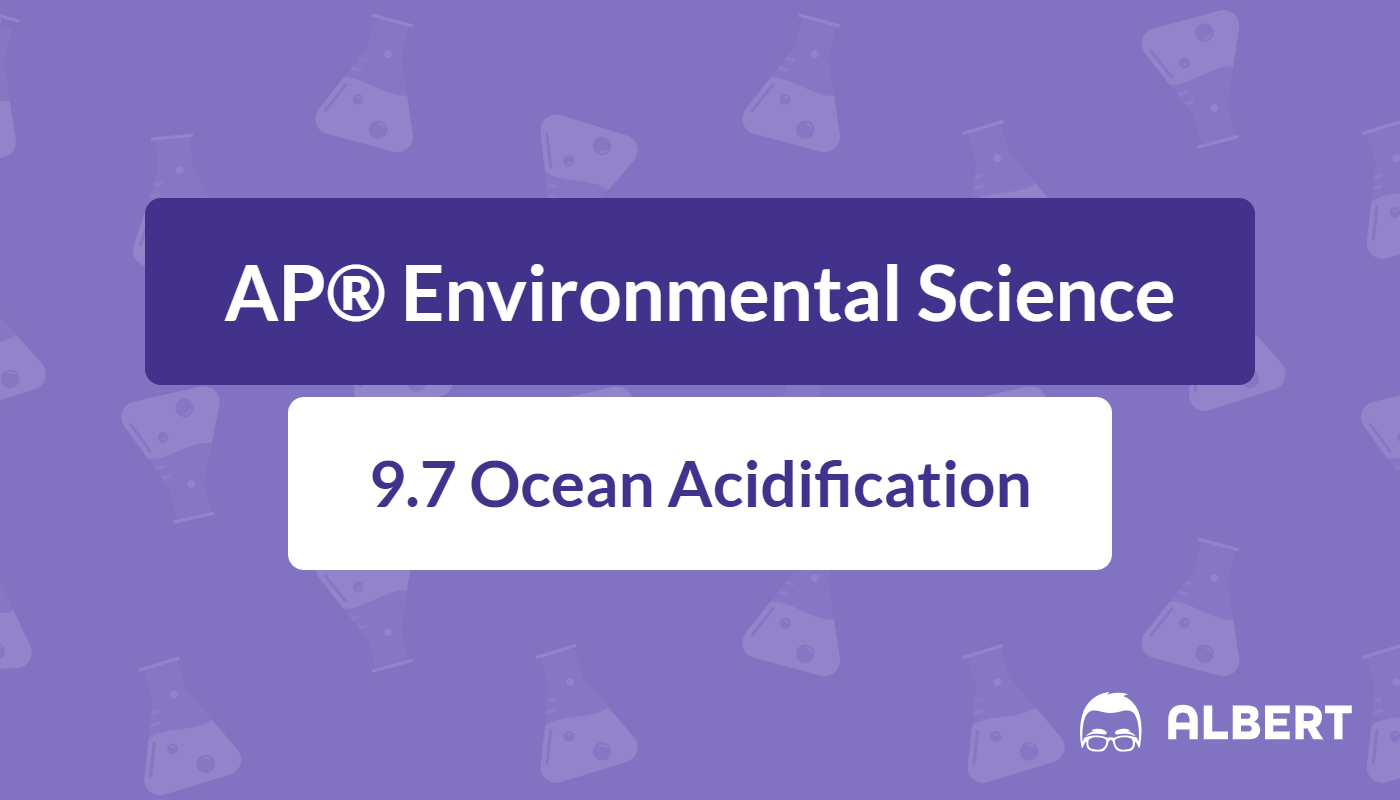 effects of ocean acidification